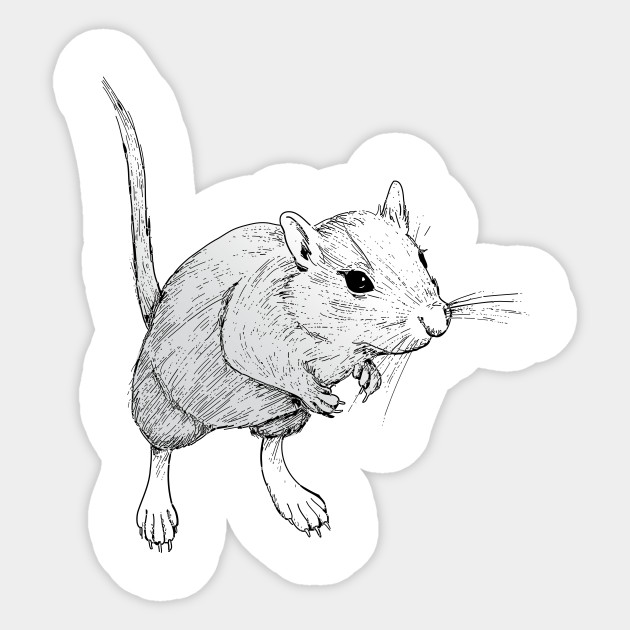 Gerbil On